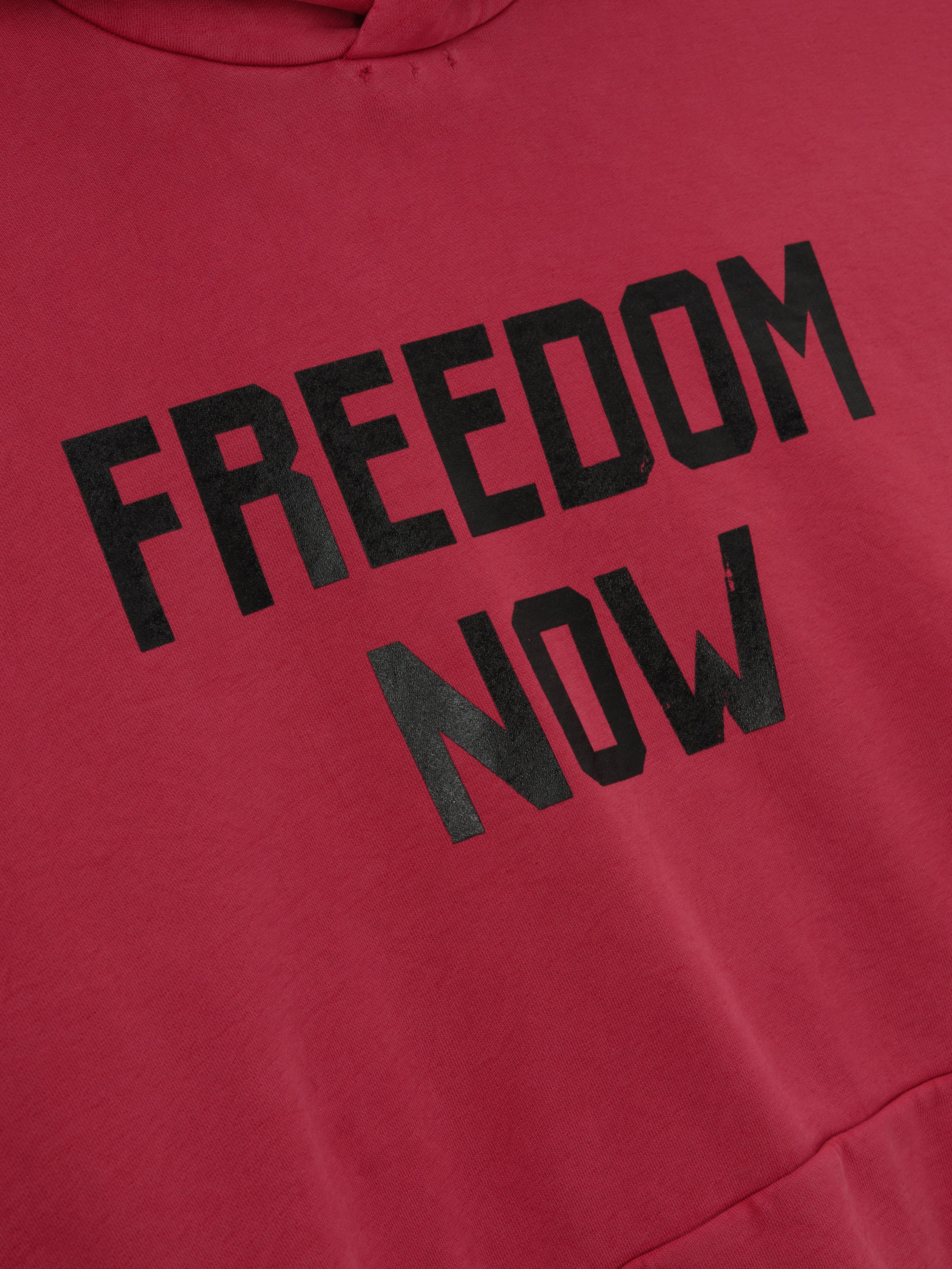 Vintage Freedom Now Hoodie